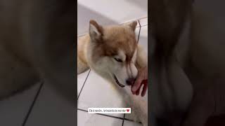 Baby Rory Brincando De Morder