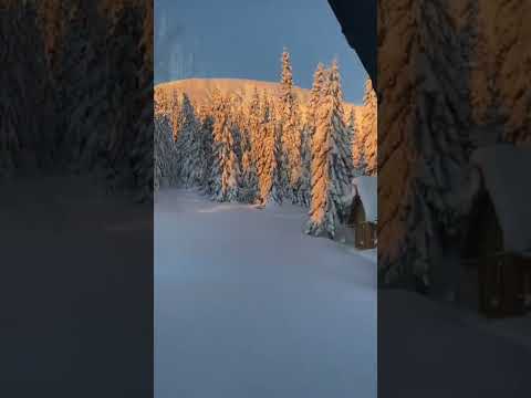 Video: Vizitând stațiunea de schi Breckenridge