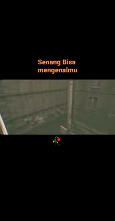 '' Senang Bisa Mengenalmu'' Status Whatsapp 30 Detik PointBlank