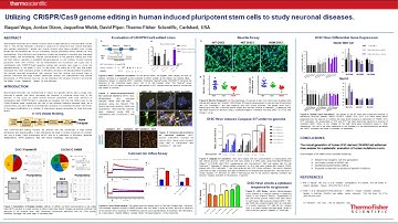 Improved genome engineering of iPSCs to generate neuronal disease models.