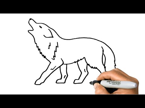 How to DRAW a WOLF Easy Step by Step