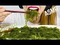 ASMR RAW SEAGRAPES ( CRUNCH EATING SOUNDS) 톡톡터지는 바다포도 먹방 NO TALKING MUKBANG | EVLIN-ASMR