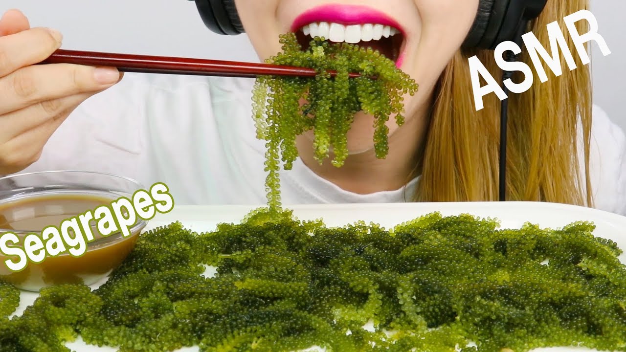ASMR RAW SEAGRAPES ( CRUNCH EATING SOUNDS) 톡톡터지는 바다포도 먹방 NO TALKING MUKBANG | EVLIN-ASMR