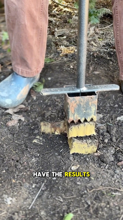 yellow clay results
