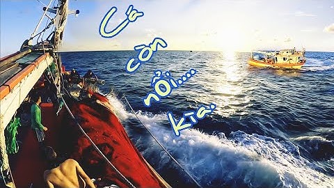 Bao vây, bầy cá ngừ khi mặt trời sắp lặn và cái kết...| Đánh cá 2024 - Tập 66 | Sóng biển Hứa Đông