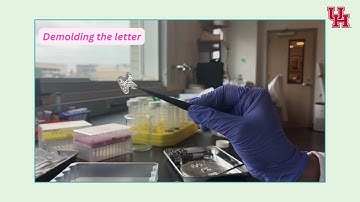 Solvent-Mediated Phase Transitions in Polyelectrolyte Complex Coacervates