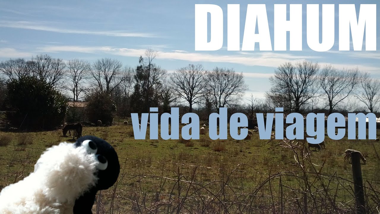diahum | vida de viagem [Dimitri BR] - YouTube
