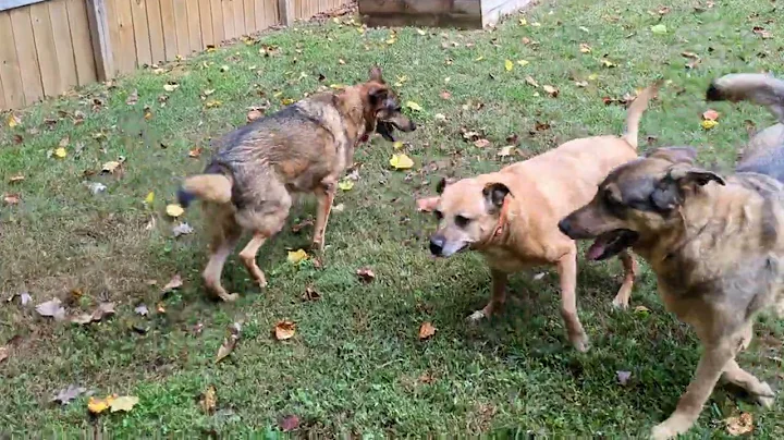 PXL 20251012 1531368781