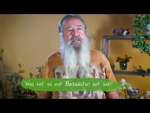 Was hat es mit Bachblüten auf sich?