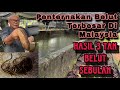 Proses pembenihan  penternakan belut sukar tanpa ilmu serta pengalaman