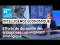 Efforts de durabilité des entreprises : un impératif stratégique • FRANCE 24