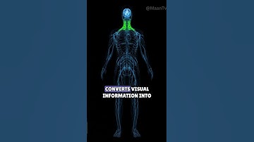 Blind People Can Now See with Their Tongues #shorts #technology