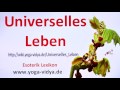 Universelles Leben Mp3 Song