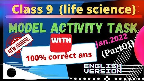 class9 model activity task jan. 2022 part 1 full solution in English version