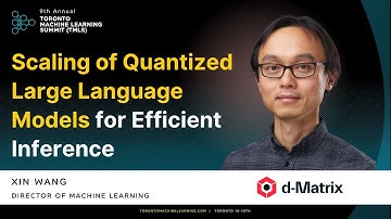 Scaling of Quantized Large Language Models for Efficient Inference