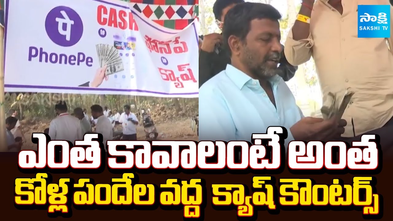 New Trend : Cash Counters at Cockfighting Venues | West Godavari District | @sakshitv