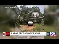 4 kids uninjured after tree falls, damages Buffalo residence, officials say