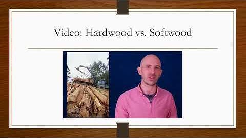 Introduction to Timber