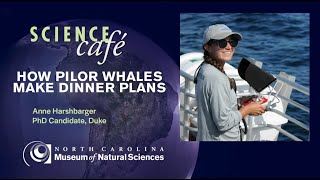 Science Cafe: How Pilot Whales Make Dinner Plans