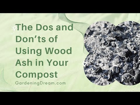 Video: As composteren: is as goed voor compost?