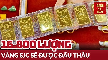 Ngân hàng Nhà nước dự kiến đấu thầu 16.800 lượng vàng SJC | Tin tức kinh tế