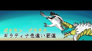 ポケモンプラチナ ギラティナ色違い厳選 Youtube