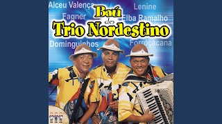 Video thumbnail of "Trio Nordestino - Pot-Pourri (Forró) : Forró do bole-bole / O trem pega"