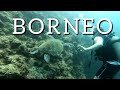 BORNEO 2022 Part 2 - Adventure in Malaysian Borneo (Semporna) and Kuala Lumpur