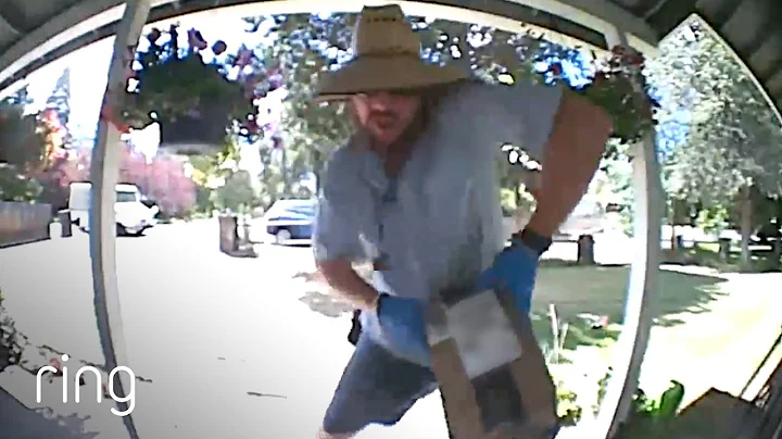 Mailman Dances In Front Of Ring Video Doorbell After Receiving Snacks From Owner | RingTV - DayDayNews