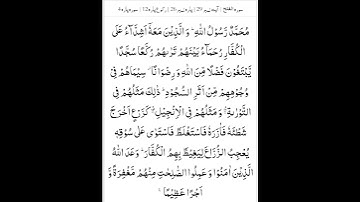 تلاوة سورة الحجرات آيت (٢٩)آواز صفى اللہ ندوى #comment #like #subscribe