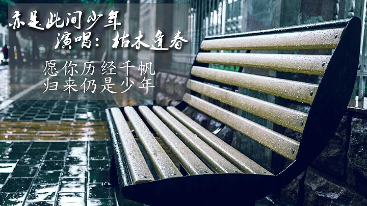 【抖音 熱曲】（高音質動態歌詞lyrics）【亦是此間少年】-枯木逢春 【民謠】 願你歷經千帆，歸來仍是少年。 - 天天要聞