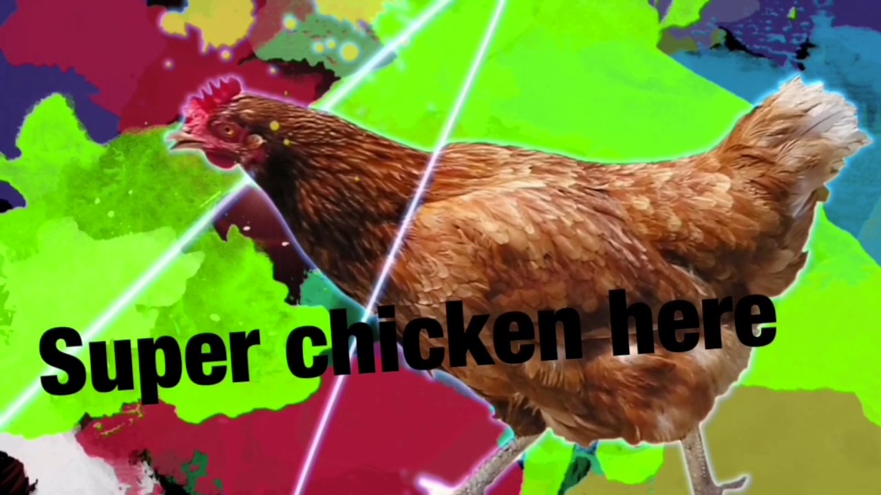 My chicken song  YouTube