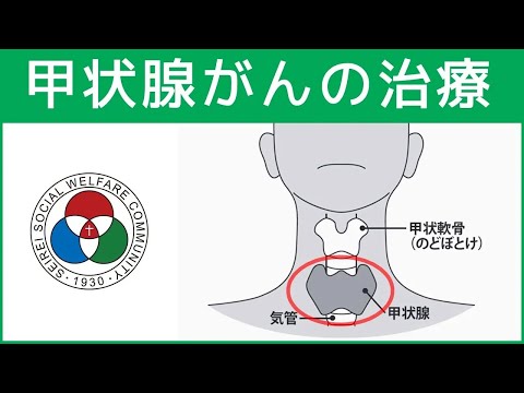 「耳鼻咽喉科｣甲状腺がんの治療【聖隷浜松病院】（白いまどNo.463）