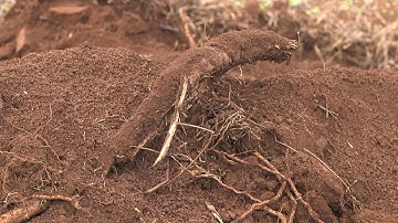 EU-SPC IKSA Project - LAND SELECTION & PREPARATION