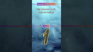 Top SQA Automation Questions for Viva Test | Software Testing Prep