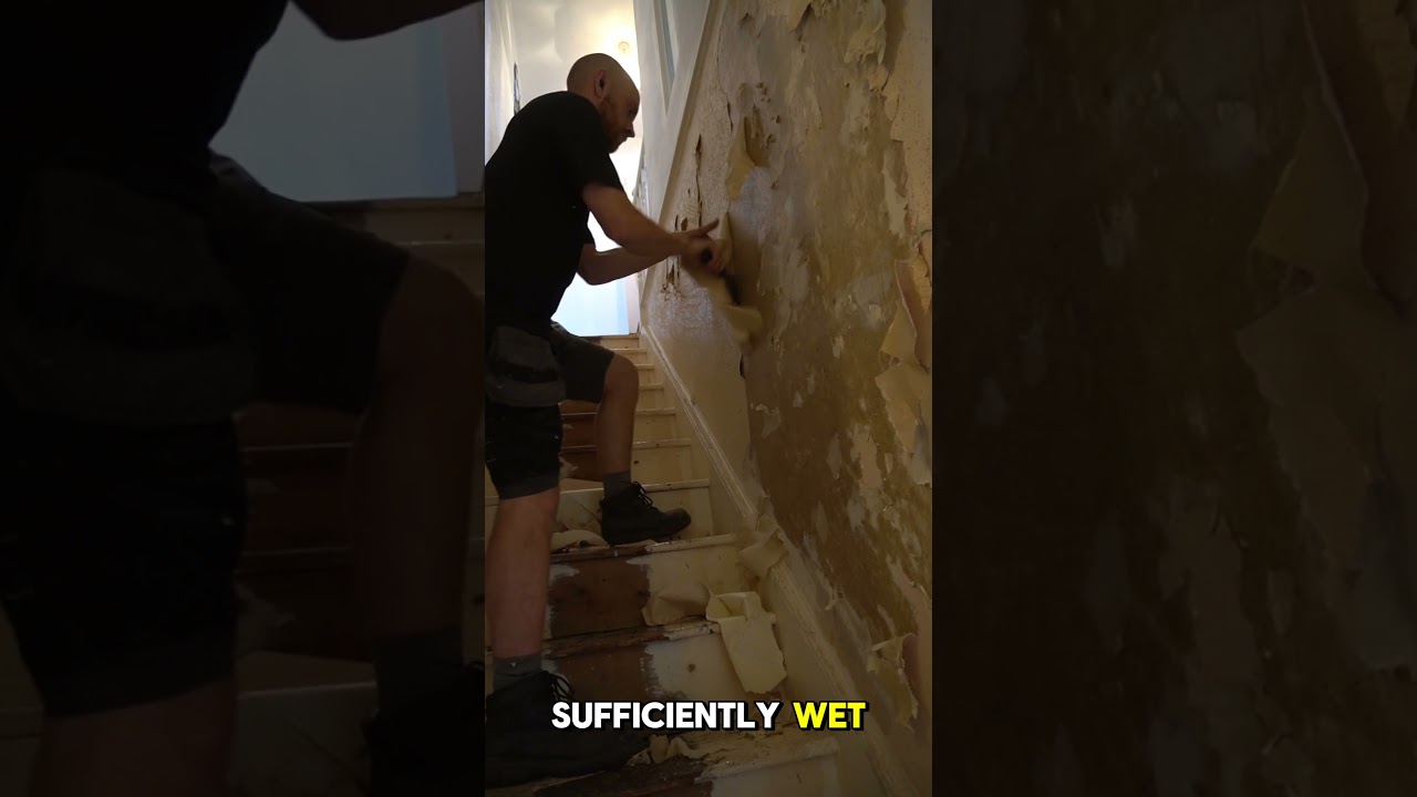 how I remove wallpaper like a ninja 