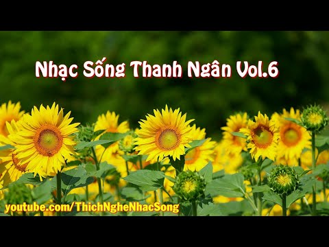 nhạc sống không lời thanh ngân tại Xemloibaihat.com