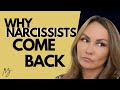 Why Narcissists Come Back (Spot and Avoid This)