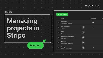 How to manage projects in Stripo