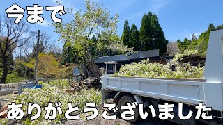 ずっと悩んでいた桜の木を伐採してサンルームとテラスも作っていきます中古物件リフォーム