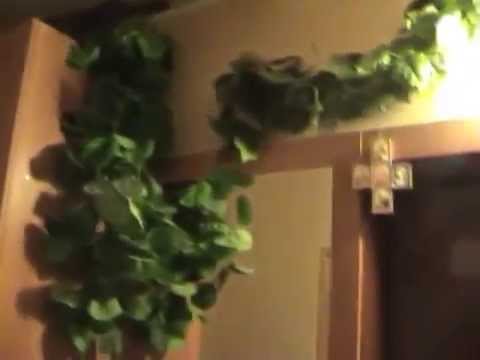 Продам свою 2-х комнатную квартиру в Одессе, Аркадия