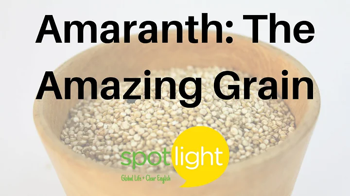 Amaranth: The Amazing Grain | practice English with Spotlight - DayDayNews