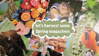 let's get the creative ball rolling and harvest some magazines together for future #gluebook fun! 🐦