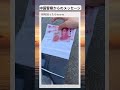 財布に見えたw #shorts #おすすめ #面白い #おもしろ