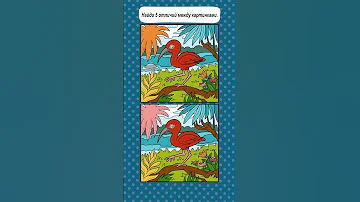 5 Отличий Красный ибис