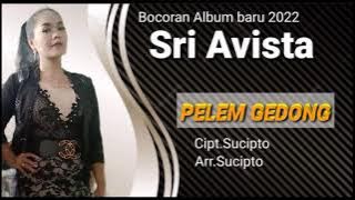 Pelem gedong _ Sri avista tarling 2022