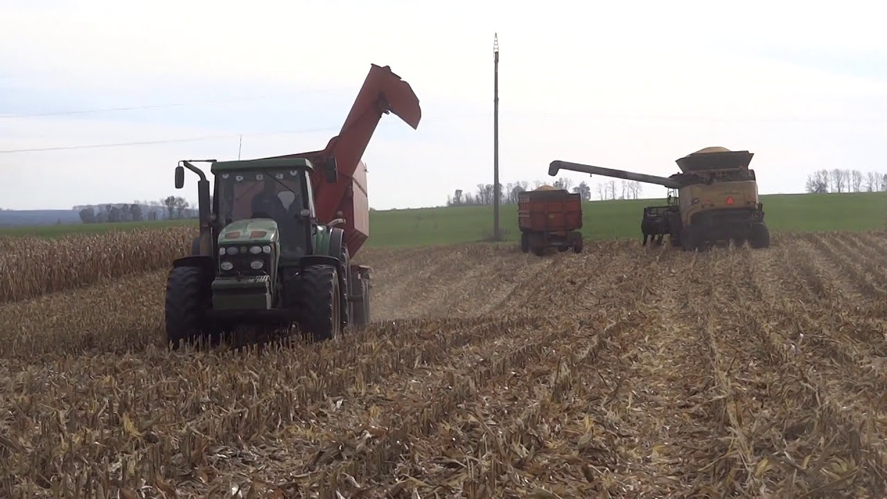 Уборка кукурузы 2016, гибрид Pioneer P 9578. Harvesting Corn. 27.10.16.