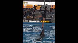 The Dolphin Knew What To Do #shorts