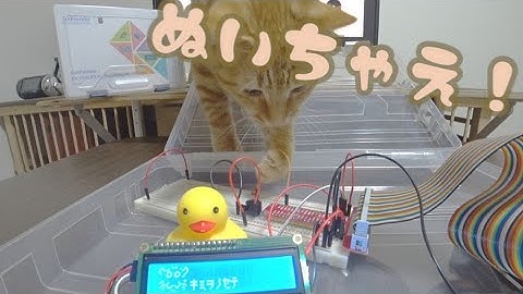 君をのせて　ラズパイ（パッシブブザー）で演奏してみた