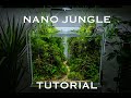 Aquascaping tutorial  amazing hightech nano jungle tank